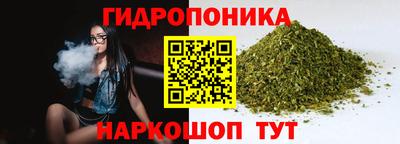 гашик Берёзовский