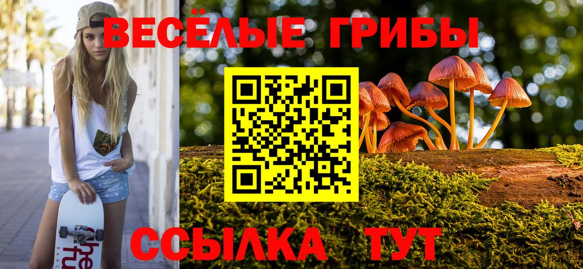 Галлюциногенные грибы Psilocybe Калач-на-Дону